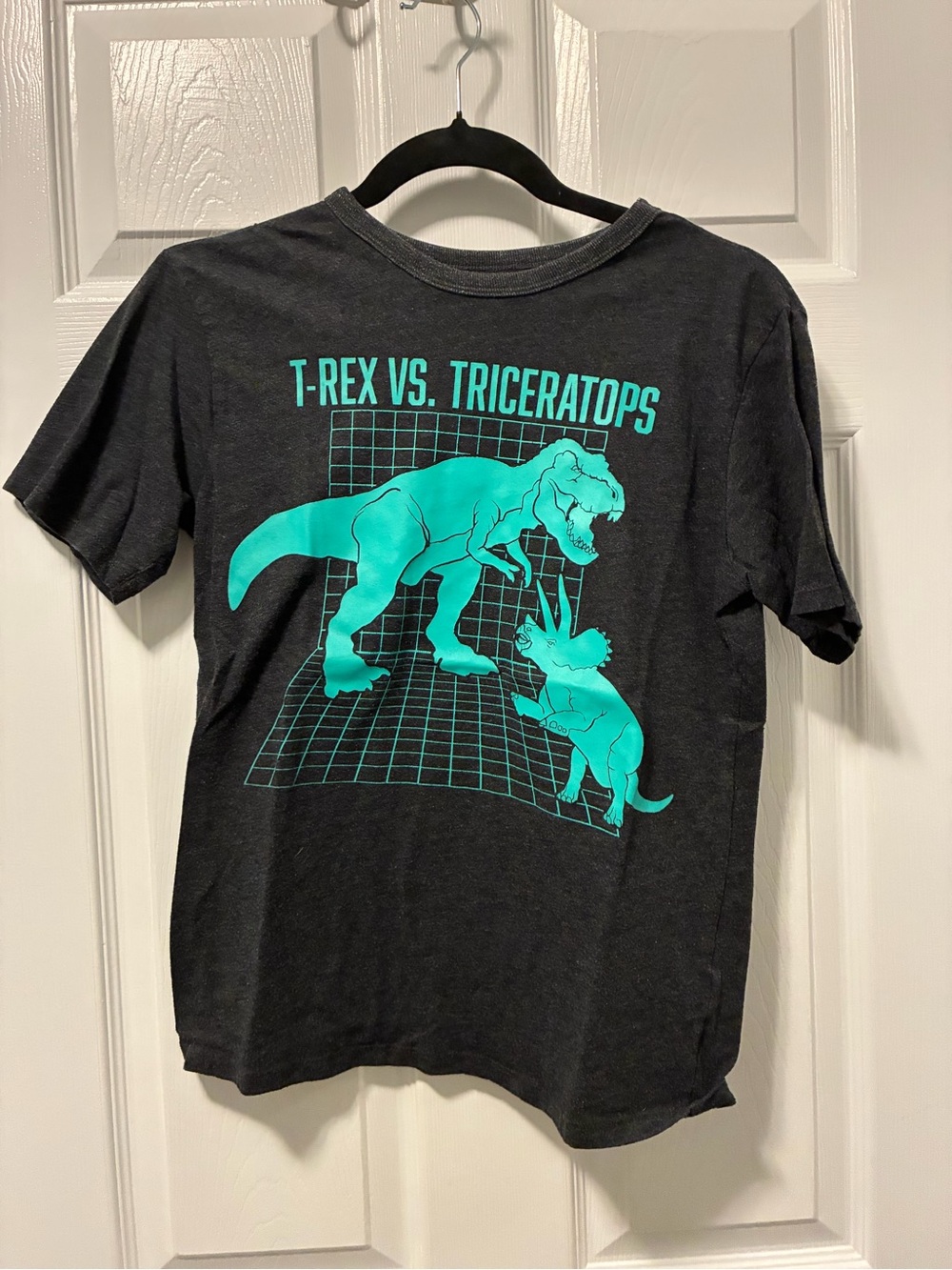 Boys Dinosaur Graphic Tee